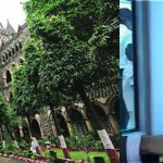 Kalyan based real estate developer moved to Bombay HC